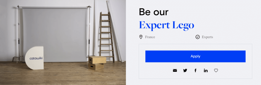 catawiki-lavoro-esperto-lego